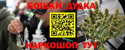 гидра Лесной